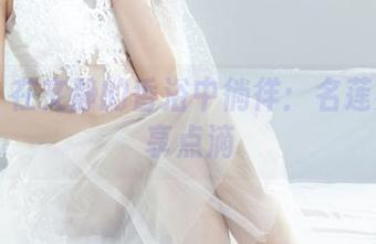 丽柜 - 在文静的香浴中徜徉：名莲氛围分享点滴